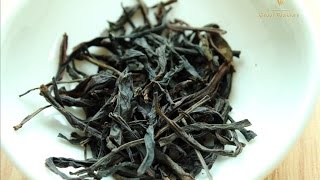 Dan Cong Oolong Tea 101