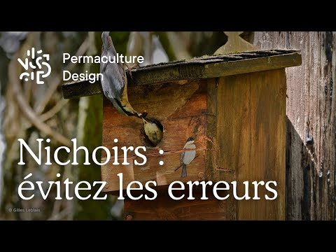 Vidéo: Est-ce que les nichoirs sont un mot ?