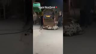 #heartbreak #cowvideos #foryou #subscribemychannel #viralvideo #trendingshorts