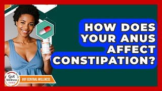 How Does Your Anus Affect Constipation? - Gut Wellness Central