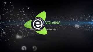 Evolving Consulting -  International ICT company