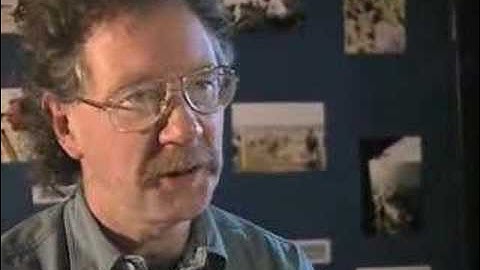 Phytoplankton in the sea - Phytoplankton and flagellates (1/3)