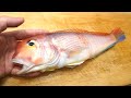 アマダイのさばき方と刺身(昆布締め) Sashimi of tilefish