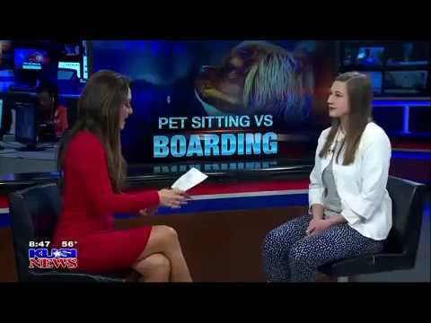 Video: Pet Boarding Vs. Pet Sitting - Hvilket Er Bedre For Kjæledyret Ditt