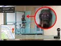 Top 15 Mysterious Things Found on Google Maps