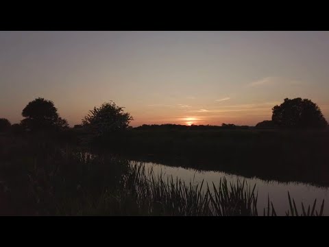 Sunset Ambience Canal Nature Walk, English Countryside, Nature Sounds [4K]