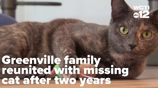 Greenville family reunited with missing cat after two years, calls
