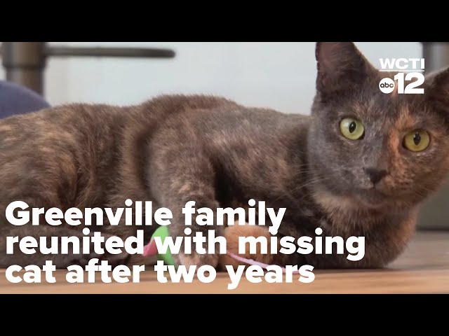 Greenville family reunited with missing cat after two years, calls