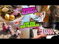 FIZEMOS BRIGADEIRO E BEIJINHO - NOSSO ALMOÇO E JANTA -A FAMÍLIA TODA FOI NA FLORESTA-ACHAMOS UM OSSO