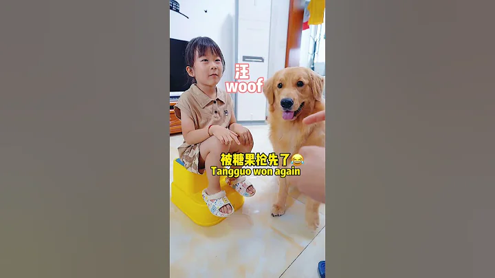 人類幼崽傻，還是金毛傻😂Is human cub foolish or dog foolish - 天天要聞