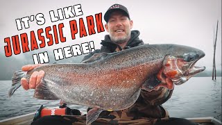Enter HOG Country | The MONSTER Trout of BC