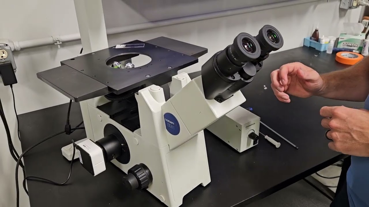 Olympus Microscope IX51 with Phase Contrast | Tissue Culture