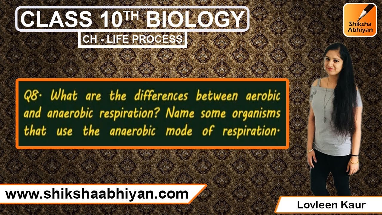 Q8 What are the differences between aerobic & anaerobic respiration? - YouTube