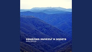 камелия-залезът и зората