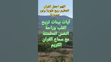 آيات بينات من الذكر الحكيم #قرآن #اكسبلور #quran #صبرو #لايك #القرآن_الكريم #القارئ #explore #دعاء