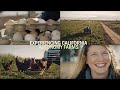 Experiencing California: Autonomy Farms