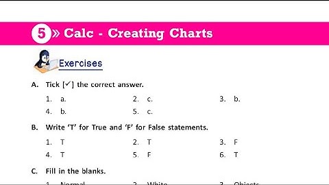 CLASS 6 CH 5 EXERCISE CALC - CREATING CHARTS