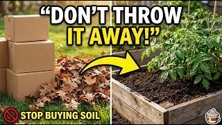 Don’t Throw Away Cardboard and Dry Leaves — Do This Instead