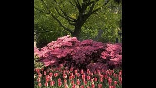 How To Work At Home (It's A Spring Thing)