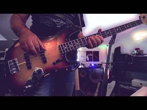 It's just another fine day (in this universe of love) - Bass Cover #fenderjazzbass #lennykravitz