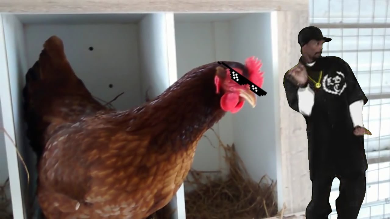 Major Lazer & DJ Snake - Lean On (Chicken Remix)