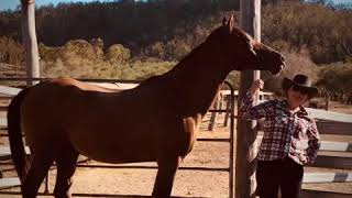A week at visitoz Springbrook Farm