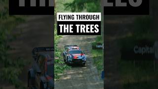 Full Send in the Forest 🌳