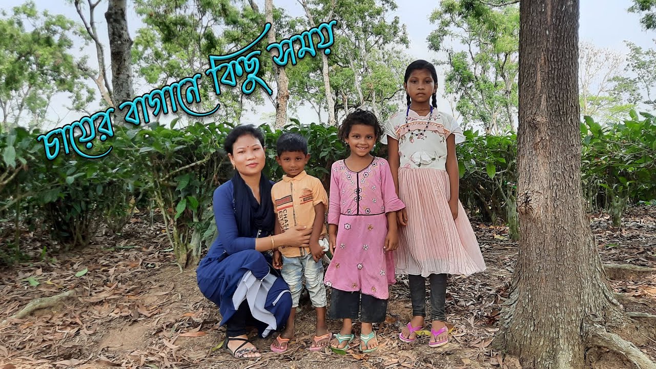 Surma Tea estate. Largest private tea garden in south Asia.