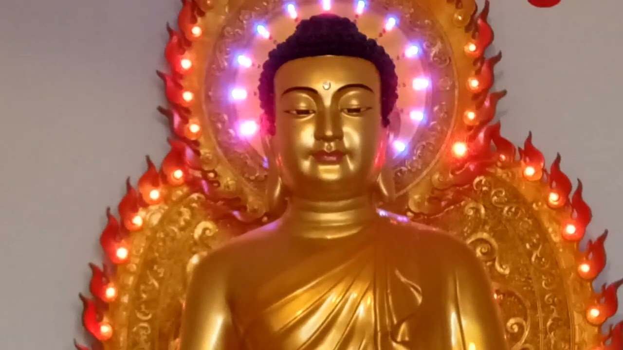 Live, tụng niệm kinh Phật 8b