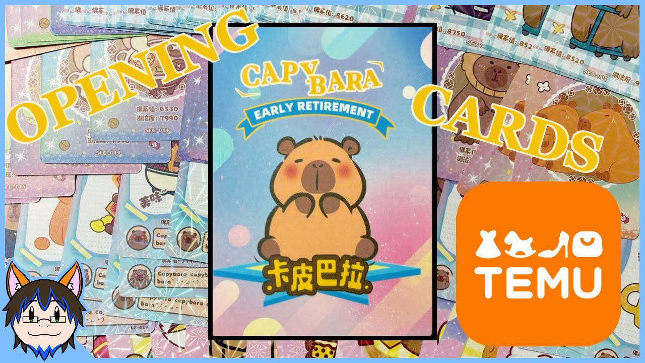 Opening Capybara Cards From Temu - YouTube