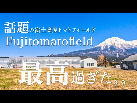 【Camp】富士高原トマトフィールド（トマトっぱら）でソロキャンプ想像を遥かに超える最高のキャンプ場