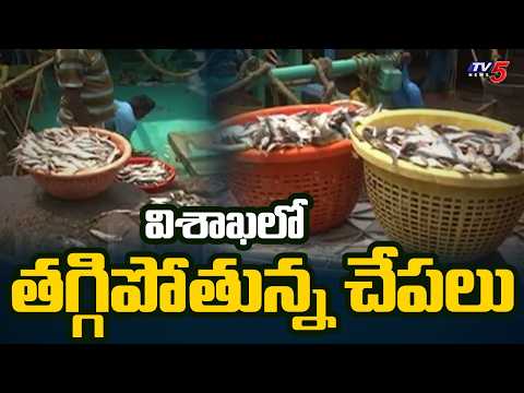 విశాఖ సముద్రంలో చేపలు ఎందుకు తగ్గిపోతున్నాయి? | El Nino Effect On Fishermen In Vizag | TV5 - TV5NEWS
