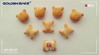 Hello Panda Biscuit Production Line, Golden Bake Center Filled Biscuit Line