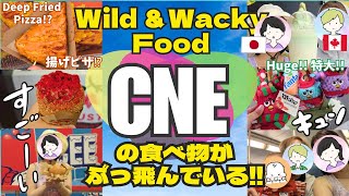 【EN JP】Wild &amp; Wacky Food in the CNE!! ( Vlog Toronto ) 【英語 日本語】CNEの食べ物がぶっ飛んでいる!! ( カナダのお祭りトロント )