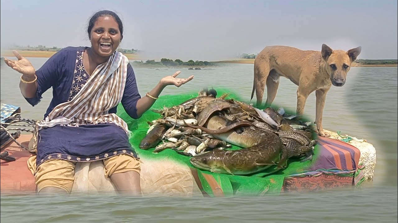 పొట్టి వచ్చిన అదృష్టం బాగుంది పెద్దపెద్ద మలుగులు పడ్డాయి | #krupahanokfishing
