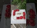 vanilla cake