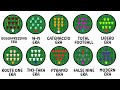 Every Generations Tactics Explained Like You're 10