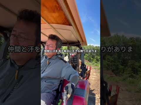 長井市 林業求人 伐採スタッフ 林業の技術が身に付く仕事 #Shorts