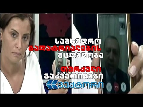 ვექტორი - სამხედრო გადატრიალების მცდელობის თურქული გაკვეთილები