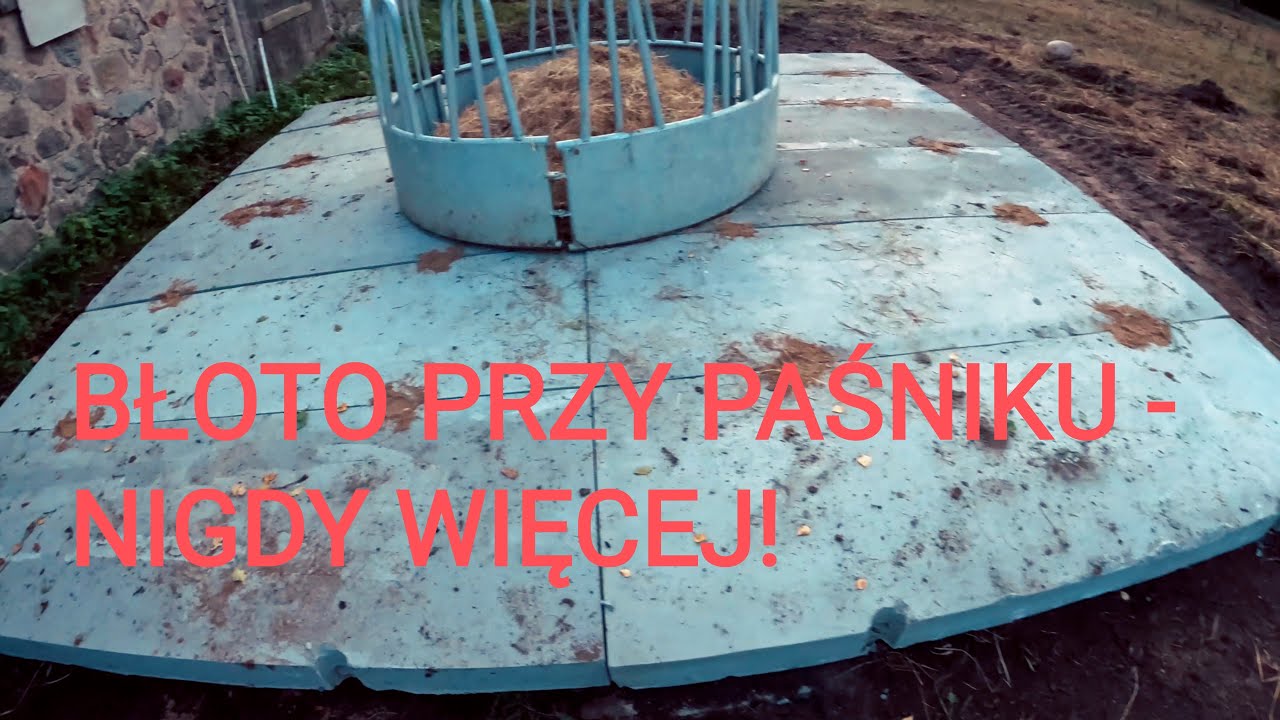 NIGDY WIĘCEJ BŁOTA PRZY PAŚNIKU - czyli czego nie robi się dla koni...