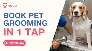 Book Dog Grooming Online in One Tap — Vetic App