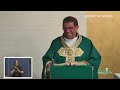 Homily - The Eleventh Sunday in Ordinary Time. 14th June 2026.