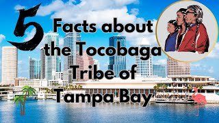 The Tocobaga Tribe of Tampa Bay