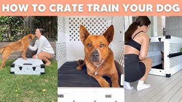 5 Crate Training Steps that ACTUALLY Work 🙌  - How to Crate Train your Dog 🐶