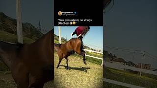When a horse photoshoot goes wrong 🐴 #horse