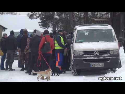 Video: Guļošo Suņu Ievārītajā Oktobra DLC Grafikā Ir Bezmaksas Saturs