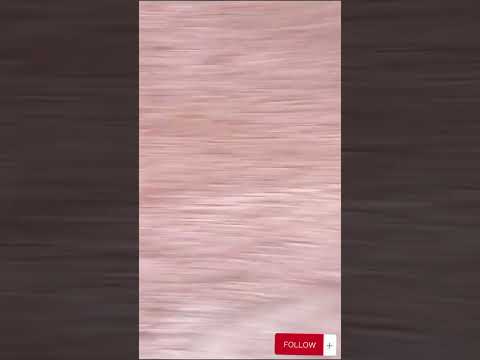 دار للبيع في #كربلاء مجاور مرقد سيد جودة المساحة ٢٢٠ م
