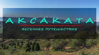 картинка: Весеннее путешествие к Аксакате. Ташкентская область