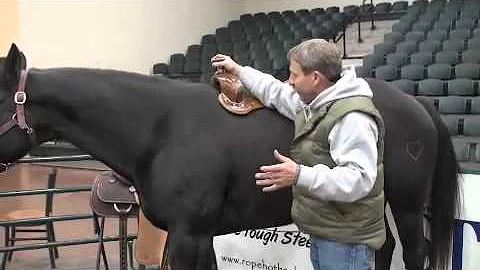Larry Coats Proper Saddle Position