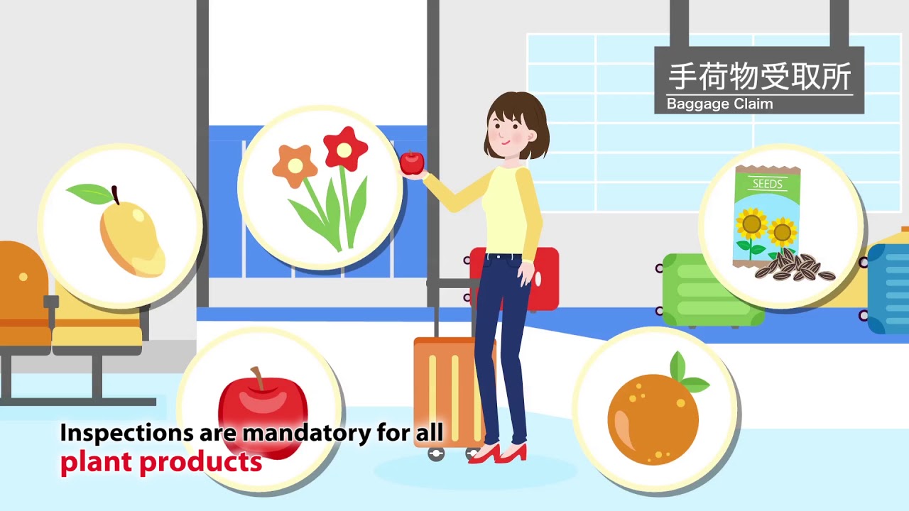 Plant Quarantine Notice（For passengers visiting Japan） YouTube